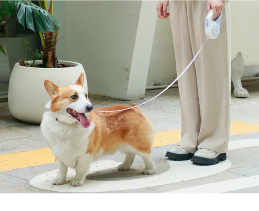 LED Retractable Dog Leash with Flashlight Pet Lead