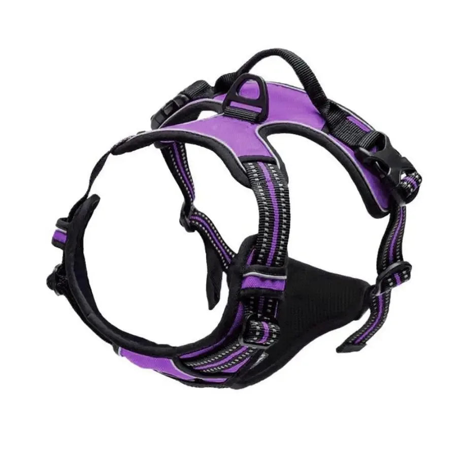 Dog Collars Harness Set with Leash for Small Medium Dogs