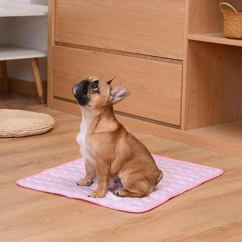 Dog Cooling Mat Breathable Summer Pad for Dogs & Cats