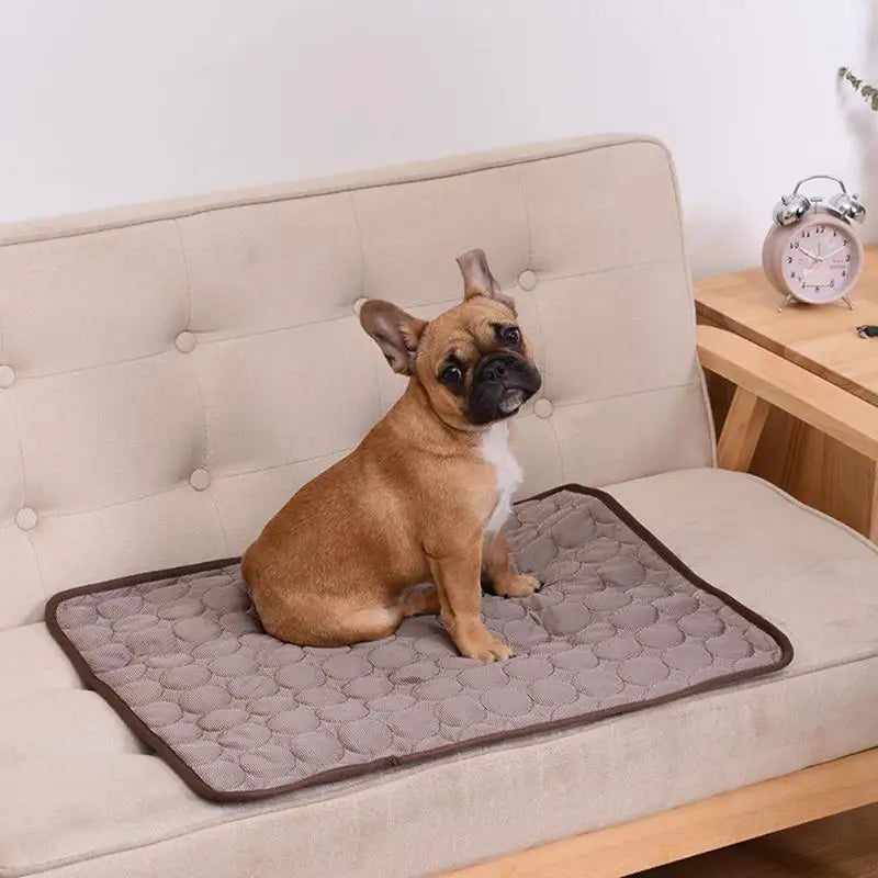 Dog Cooling Mat Breathable Summer Pad for Dogs & Cats