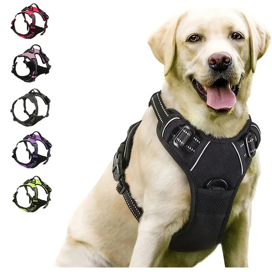 Dog Collars Harness Set with Leash for Small Medium Dogs