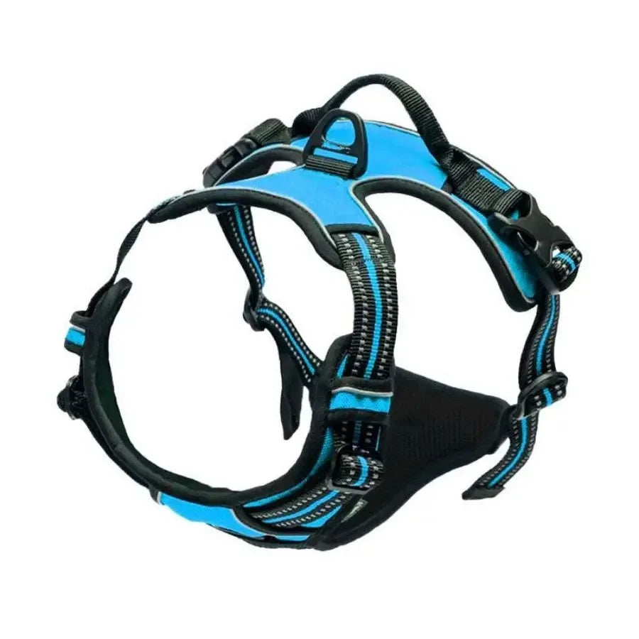 Dog Collars Harness Set with Leash for Small Medium Dogs