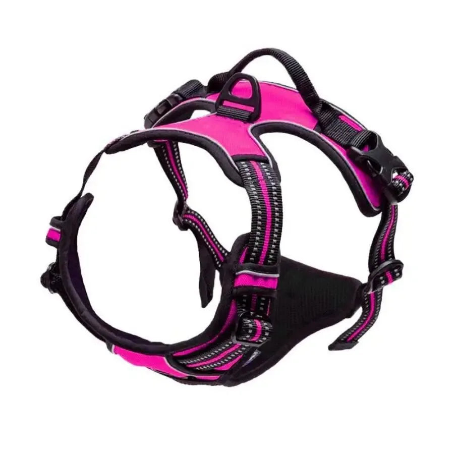Dog Collars Harness Set with Leash for Small Medium Dogs