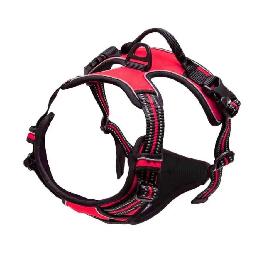 Dog Collars Harness Set with Leash for Small Medium Dogs