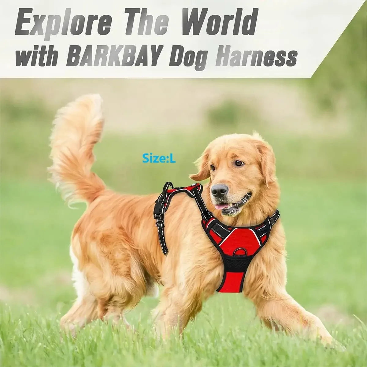 Dog Collars Harness Set with Leash for Small Medium Dogs