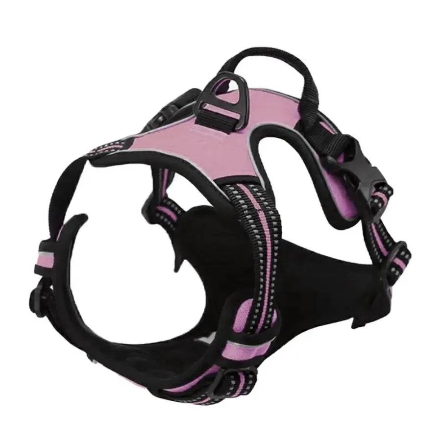 Dog Collars Harness Set with Leash for Small Medium Dogs