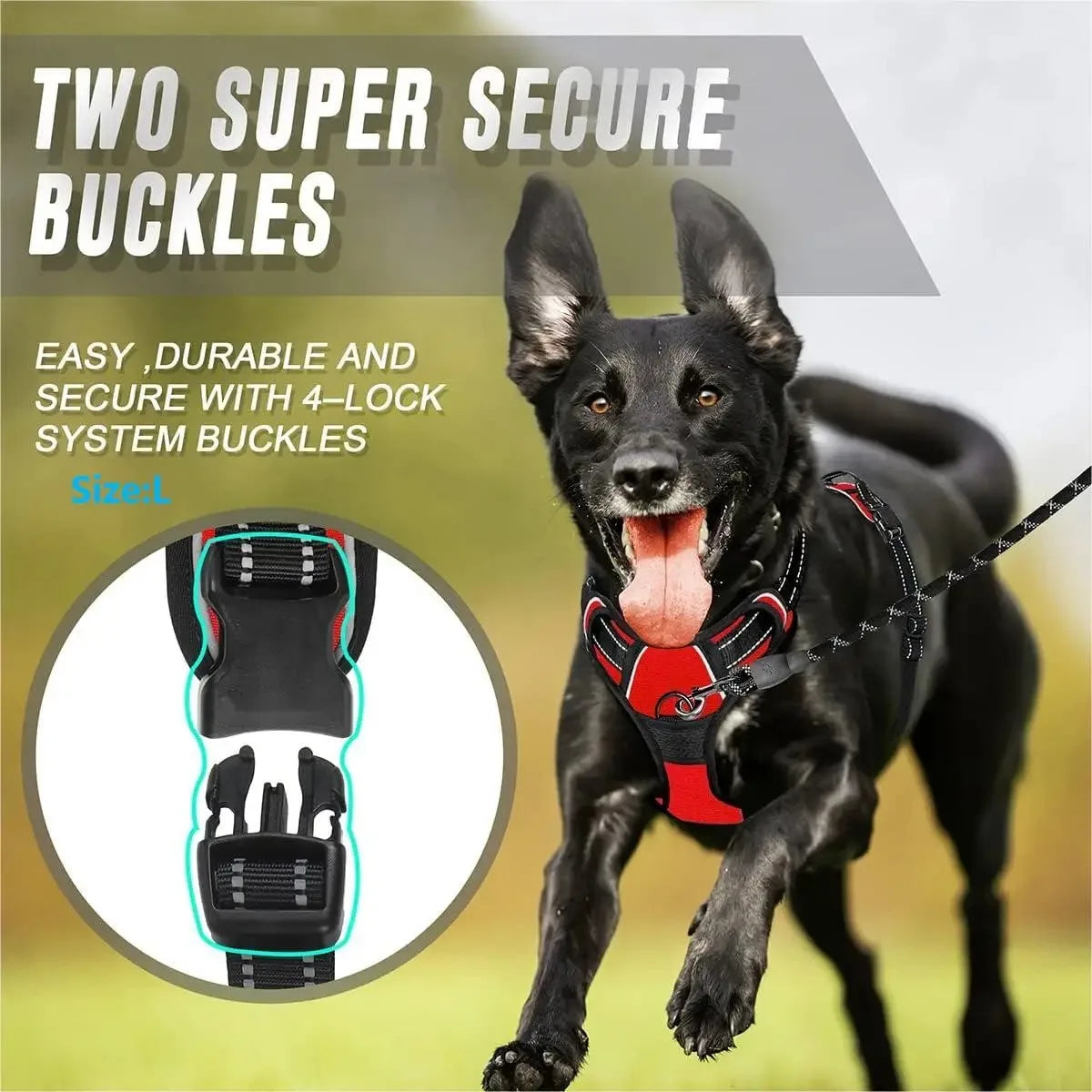 Dog Collars Harness Set with Leash for Small Medium Dogs