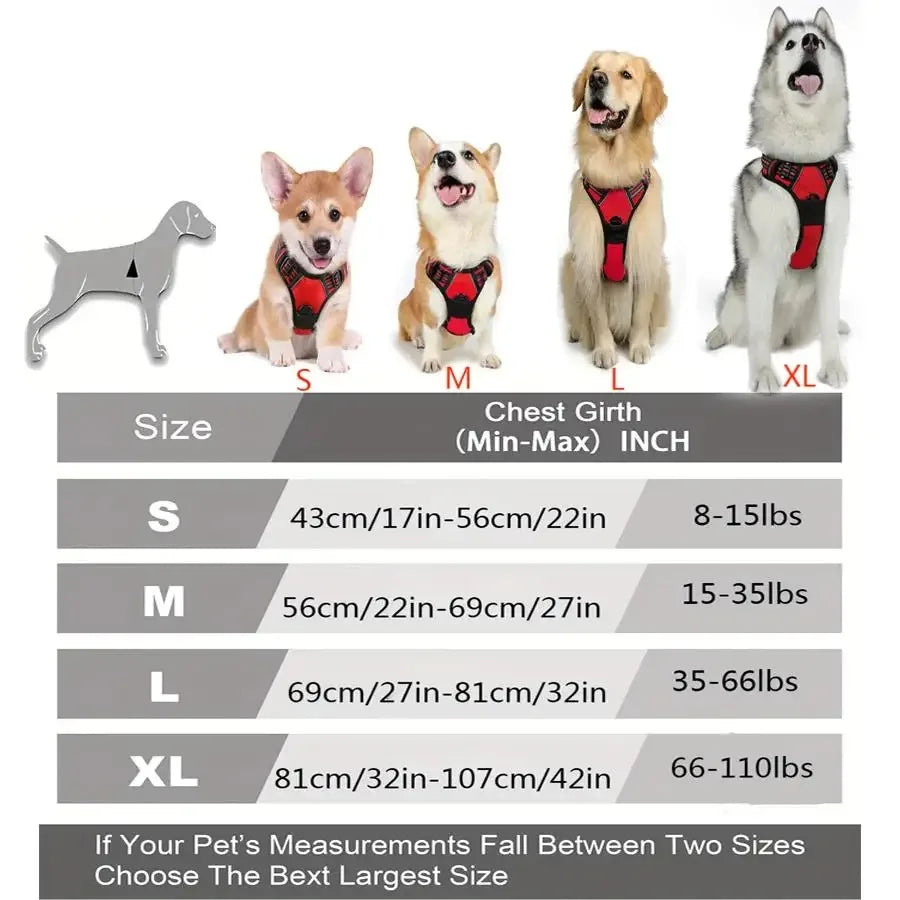 Dog Collars Harness Set with Leash for Small Medium Dogs