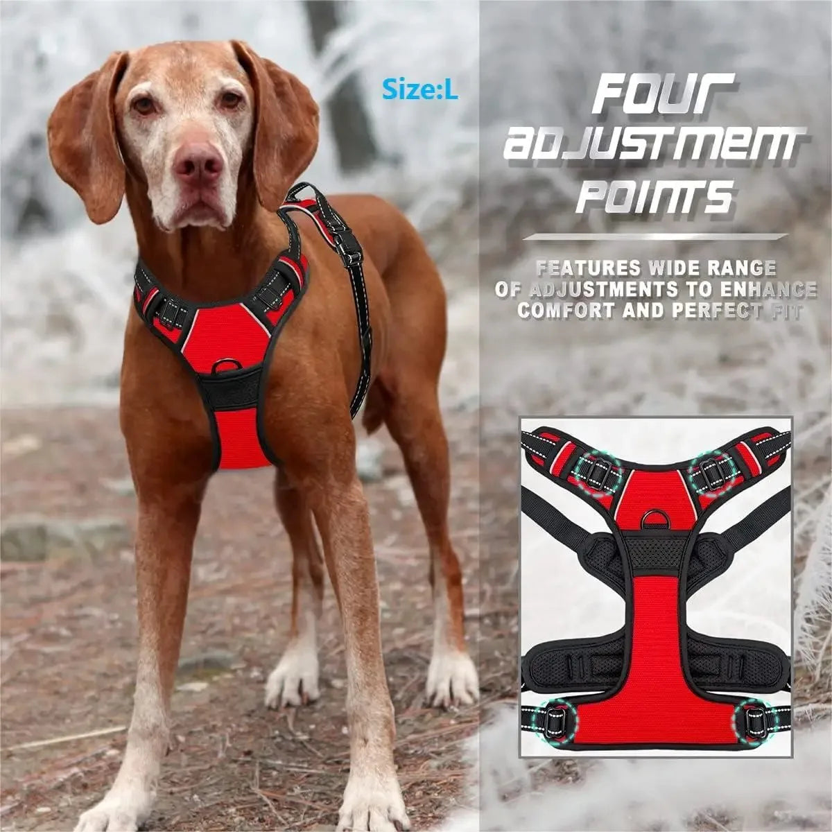 Dog Collars Harness Set with Leash for Small Medium Dogs
