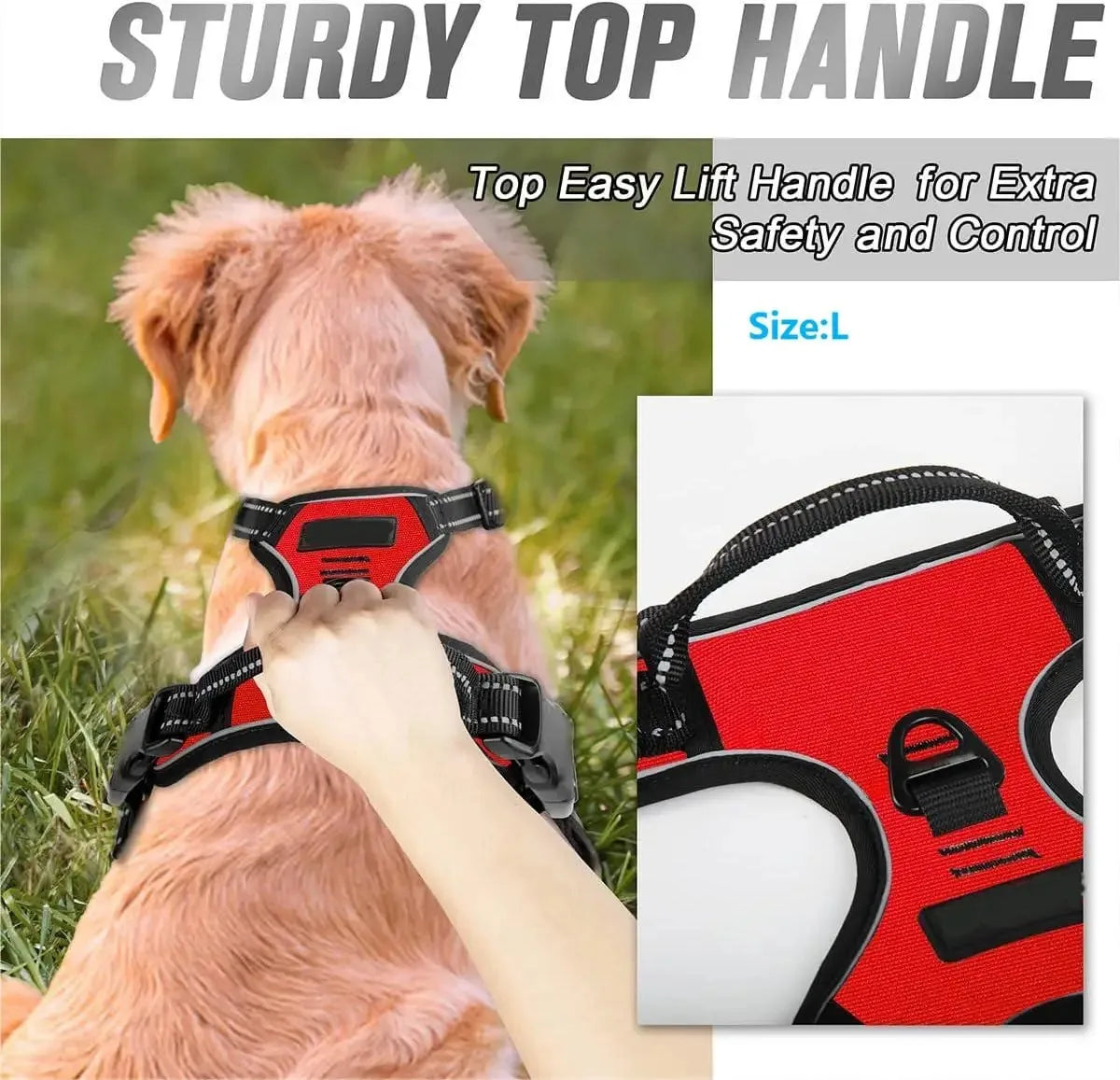 Dog Collars Harness Set with Leash for Small Medium Dogs